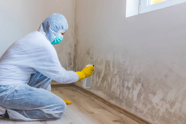 Hvac And Air Duct Mold Remediation inspection of HVAC system in Bay Shore