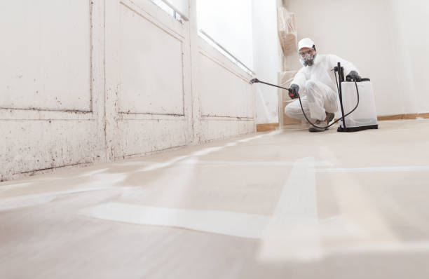Post-remediation clearance in Bay Shore
